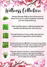Herbal Hair Growth Tea for Thicker, Stronger Hair -Natural Regrowth Blend with Horsetail, Rosemary & Nettle -Florida Fresh Herbs - 50 g (1.76 OZ)