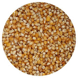 Tiny Kernel Popcorn, 20 Ounce Bulk Bag, Popcorn Kernels For Popcorn Machine, The Hampton Popcorn Company