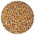Tiny Kernel Popcorn, 20 Ounce Bulk Bag, Popcorn Kernels For Popcorn Machine, The Hampton Popcorn Company
