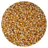 Tiny Kernel Popcorn, 20 Ounce Bulk Bag, Popcorn Kernels For Popcorn Machine, The Hampton Popcorn Company