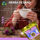 Green Royalty Hierba de Sapo (Mexican Thistle) - Natural Dried Herb for Herbal Tea & Infusions - 4 oz (114 g) Resealable bag