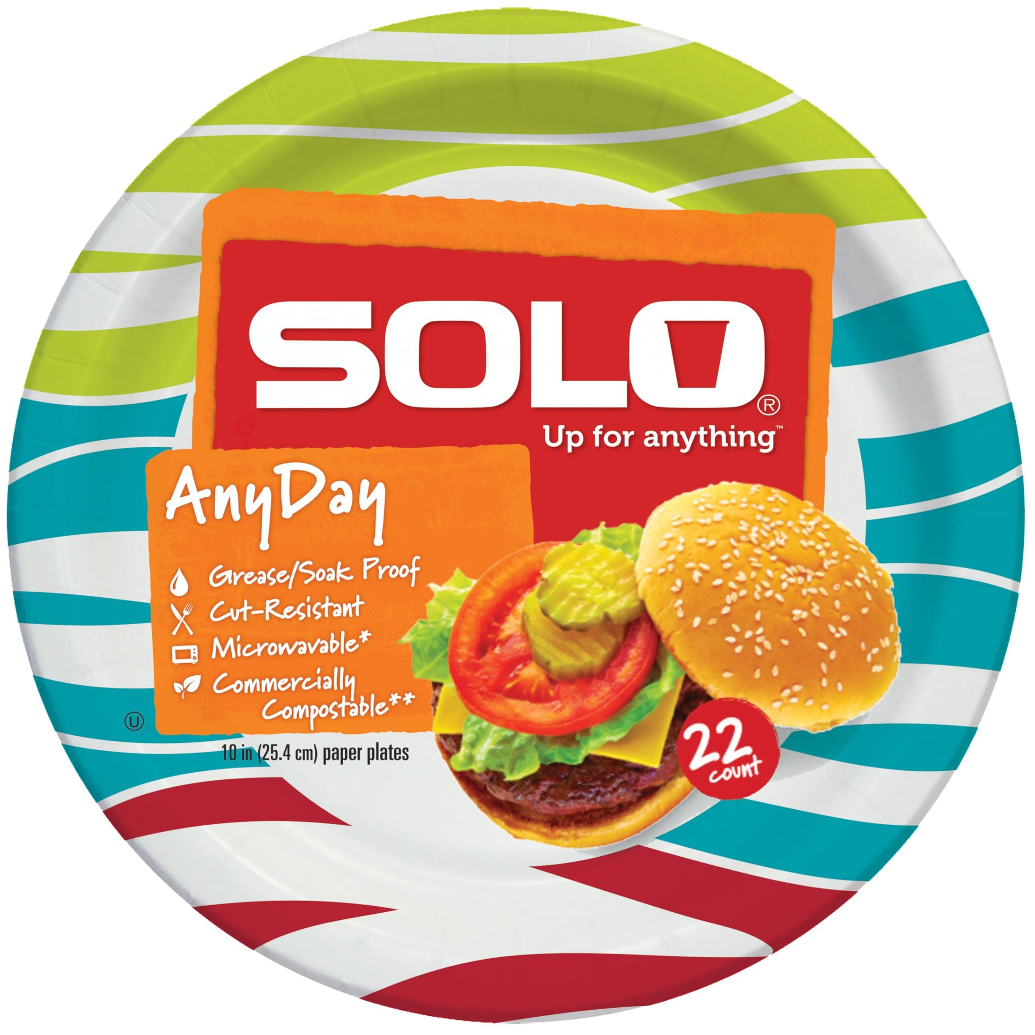 Solo Any Day Paper Plates, 10" Patterns May Vary (Pack of 4)