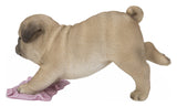 Hi-Line Gift Pug Mopping The Floor