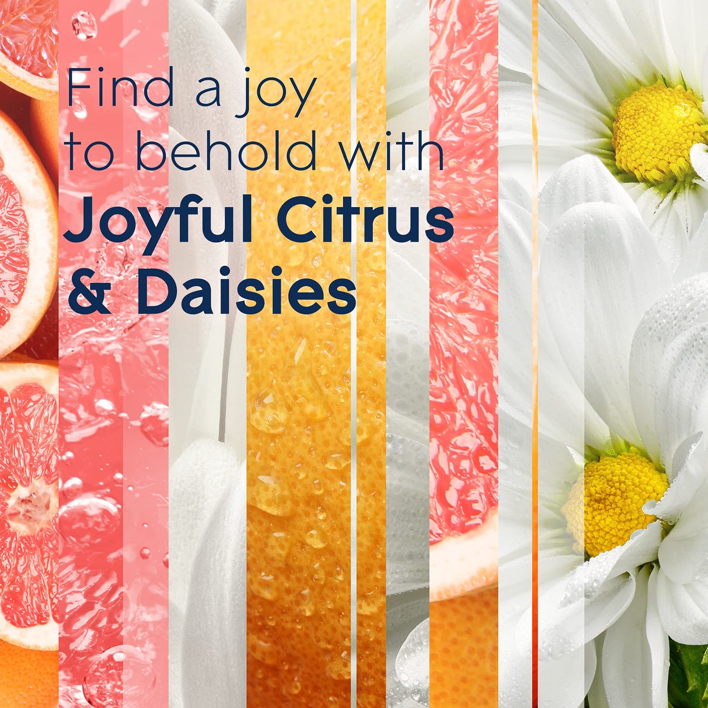 Glade PlugIns Refills Air Freshener Starter Kit, Scented and Essential Oils for Home and Bathroom, Joyful Citrus & Daisies 4.02 Fl Oz, 2 Warmers + 6