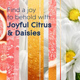 Glade PlugIns Refills Air Freshener Starter Kit, Scented and Essential Oils for Home and Bathroom, Joyful Citrus & Daisies 4.02 Fl Oz, 2 Warmers + 6