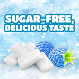 ICEE Blue Raspberry Sugar Free Gum by Bubblegum Kids | Sugarless Gum with Xylitol | Vegan, Peanut Free, Low Calorie Candy Alternative for Kids