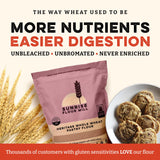 Sunrise Flour Mill USDA Organic Heritage Whole Wheat Pastry Flour - 5 lbs | Milled from White Sonora | Easier to Digest with Less Bloating | No