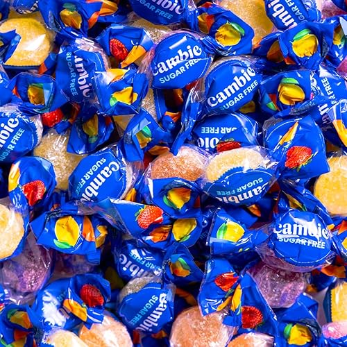 Cambie Sugar Free Gummies - 1 lb of Individually Wrapped Sugar Free Candy, Assorted Fruit Flavors, Diabetic Friendly, Keto, Low Carb, Vegan, Natural