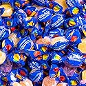 Cambie Sugar Free Gummies - 1 lb of Individually Wrapped Sugar Free Candy, Assorted Fruit Flavors, Diabetic Friendly, Keto, Low Carb, Vegan, Natural