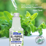 Mighty Mint All-Purpose Cleaner Spray - Plant-Based, Multi-Surface Cleaning for Kitchen, Bathroom & Home - Cuts Grease, Dirt & Grime - Peppermint