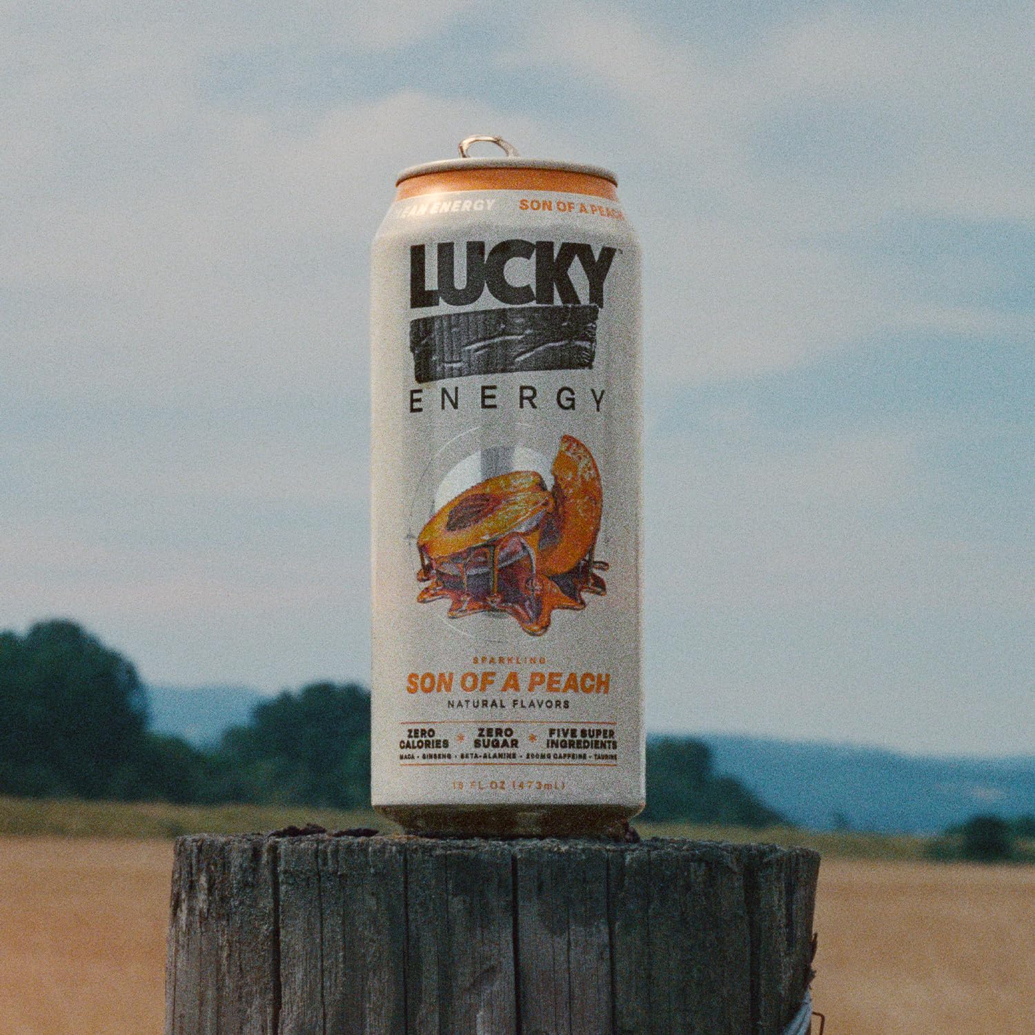Lucky Energy Sugar Free Energy Drinks, Son of a Peach, 16oz Cans (12-Pack) Healthy, Zero Sugar Energy Drink with Maca, Ginseng, Beta-Alanine, Taurine