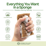 Purely Plant Natural Kitchen Sponges (12 Pack) - Biodegradable Cellulose & Coconut fiber Scrubber Dish Sponges, Eco-Friendly, Compostable