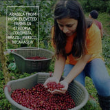 Coperaco Alis delicate and complex drip coffee Retail, Freshly Whole Coffee Beans, Medium-Dark Roast, 1Kg