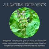 Rishi Tea Cinnamon Tulsi Spice Herbal Tea - Organic, Caffeine Free Sachet Bags, Warming & Naturally Sweet Botanical Blend - 15 Count (Pack of 1)