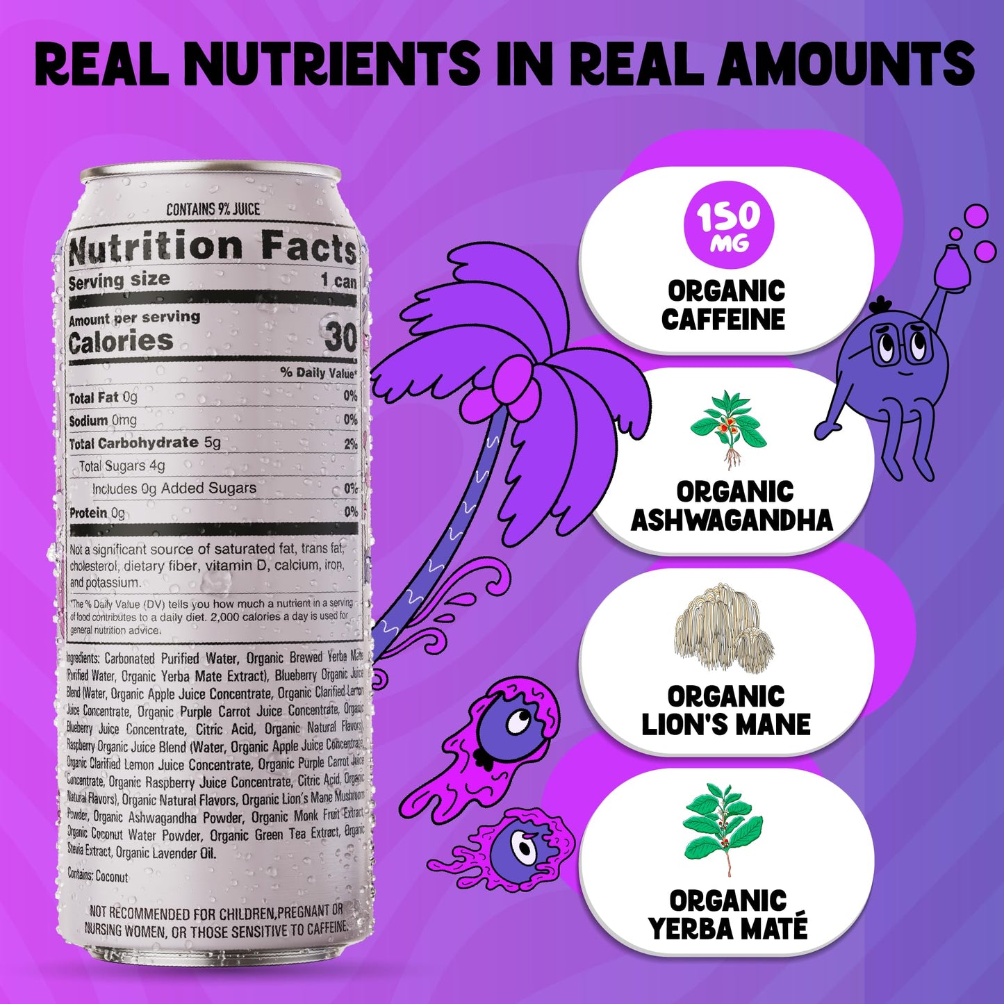 Yerba Mate Energy Drink - Low Sugar Sparkling Tea Cans with Ashwagandha, Lion’s Mane, USDA Organic Clean Energy Drink with 150mg Natural Caffeine, Ola