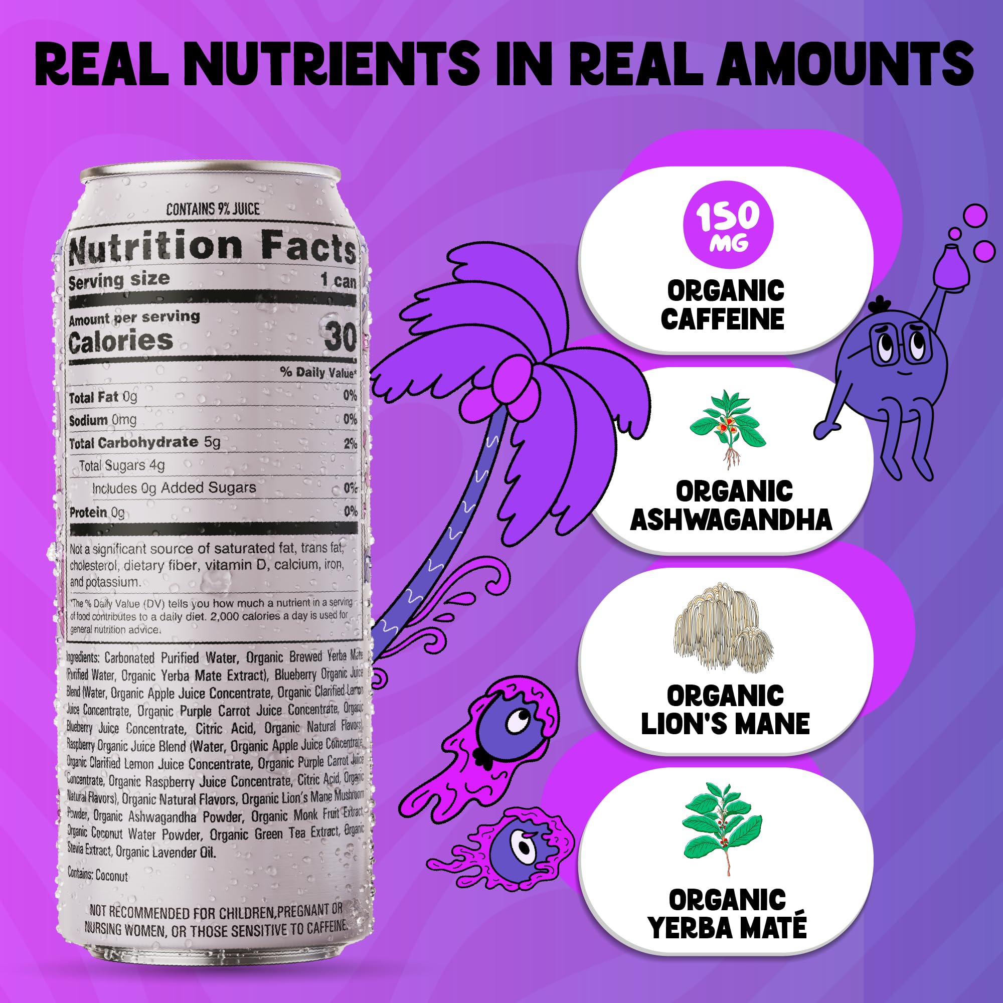 Yerba Mate Energy Drink - Low Sugar Sparkling Tea Cans with Ashwagandha, Lion’s Mane, USDA Organic Clean Energy Drink with 150mg Natural Caffeine, Ola