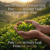 Akbar, Ceylon Black Tea, Paper Enveloped Tea Bags, Premium Single Origin Tea, Frustration Free bulk Packaging, 100 tea bags