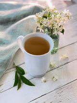 Bigelow Tea Green Jasmine 20 Bags (Pack of 4)