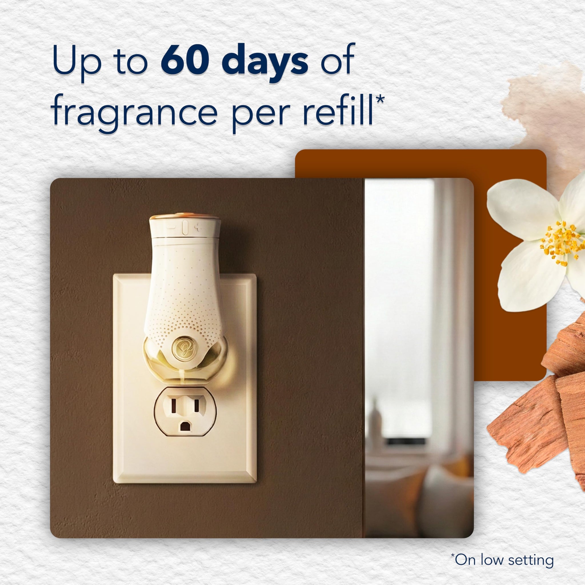 Glade Plugins 0.67 Oz Cashmere Woods Warmer+Refill (Pack of 2)