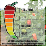 Gourmanity Piment d'Espelette Pepper Powder from Basque 2 Pack, France, Aromatic and Smokey with Mild Heat, Naturally Sun Dried Red Chili Seasoning