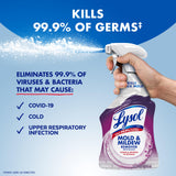Lysol Mold & Mildew Remover Spray, Bathroom & Shower Cleaner, Disinfectant Spray, Stain Remover with Bleach, Tough on Black Mold, Multipurpose Cleaner