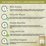 SPICY ORGANIC Green Cardamom Pods - 3 lb - Whole Cardamon Seeds for Authentic Spice Flavor, Natural Cardamon Pod for Tea, Cooking, and Baking- USDA