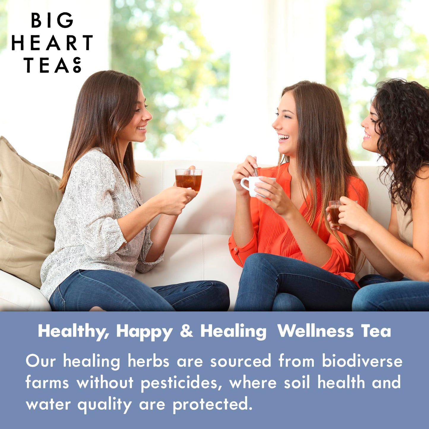 Big Heart Tea Co. Tea Bags - Minty Blue - Small Batch, Certified Organic, Ayurvedic Herbal Decaf Tea in Zero Plastic Sachets - Adaptogenic Tulsi