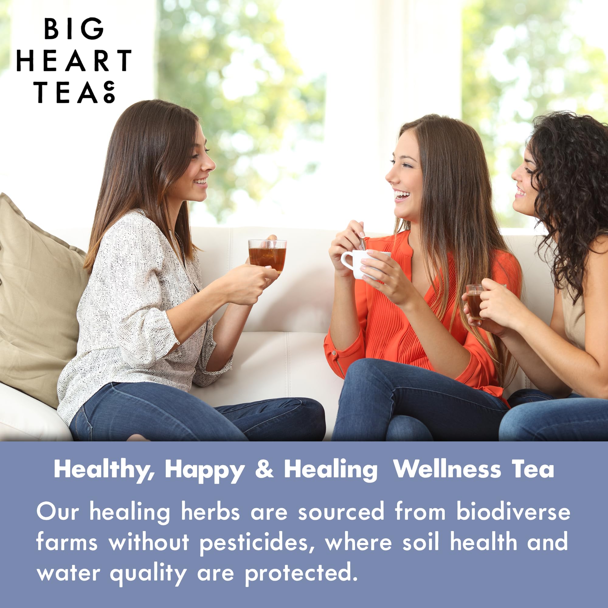 Big Heart Tea Co. Tea Bags - Minty Blue - Small Batch, Certified Organic, Ayurvedic Herbal Decaf Tea in Zero Plastic Sachets - Adaptogenic Tulsi