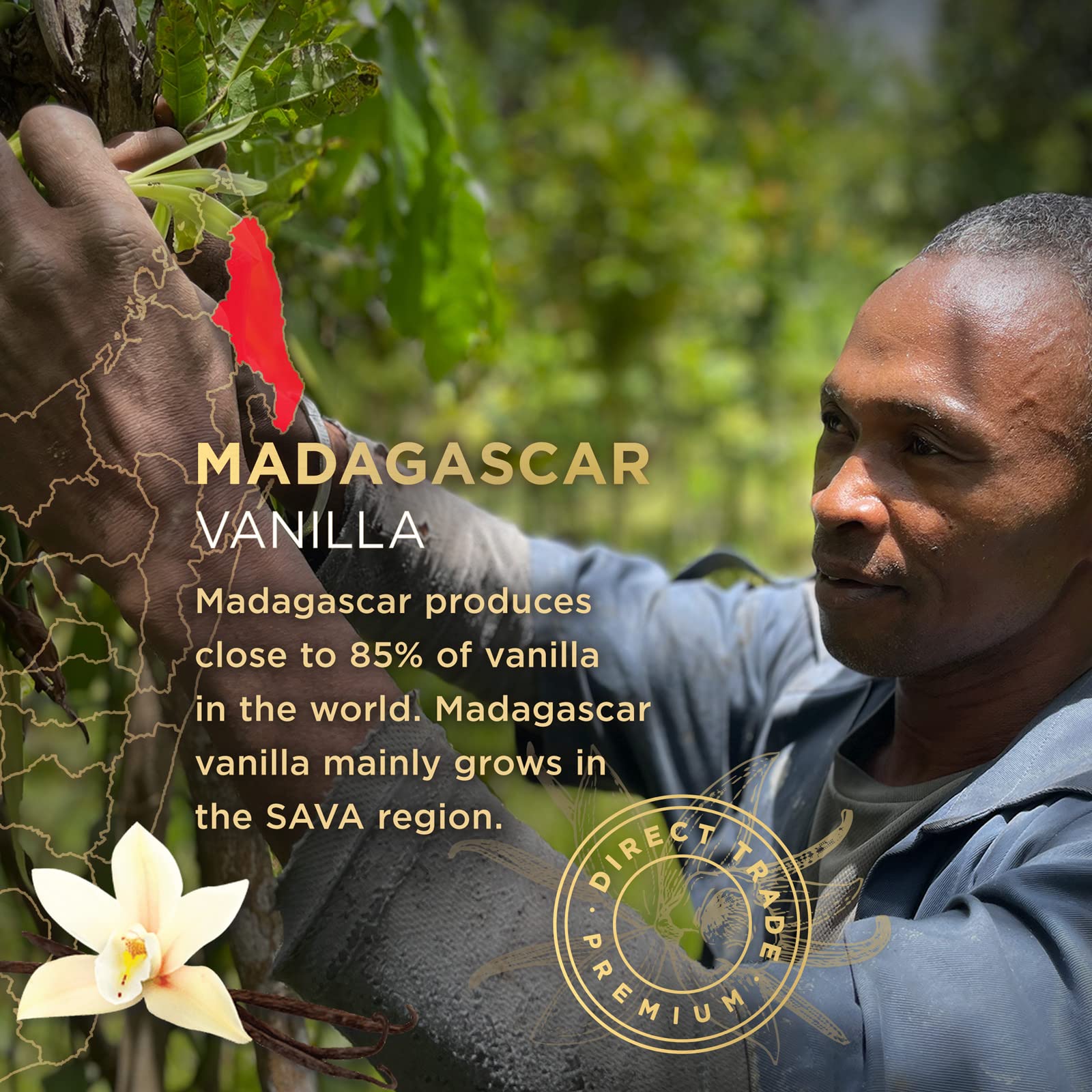 SAVA Madagascar Vanilla Extract - 100% Pure Vanilla Extract from High-Quality Madagascar Vanilla Beans - No Sugar Added Gourmet Vanilla Extract