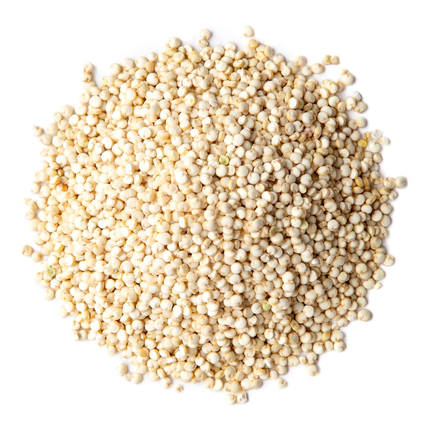 Food to Live White Quinoa, 12 Ounces- All Natural Whole Grain, Perfect for Salads, Soups, Quick and Easy to Cook, Meal Prep, Rice Substitute, Vegan, Kosher, Bulk