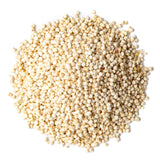 Food to Live White Quinoa, 12 Ounces- All Natural Whole Grain, Perfect for Salads, Soups, Quick and Easy to Cook, Meal Prep, Rice Substitute, Vegan, Kosher, Bulk