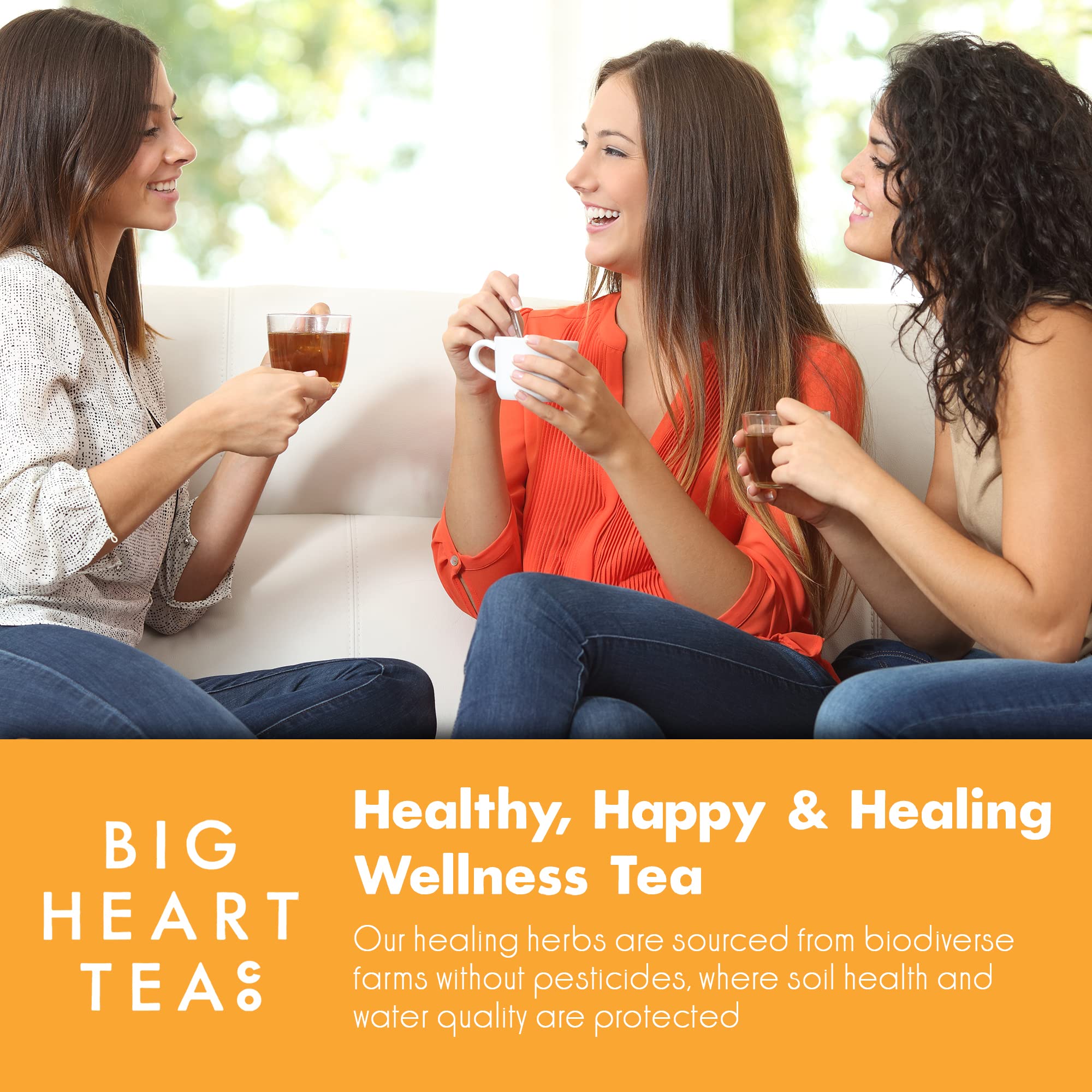 Big Heart Tea Co. Tea Bags - Cup of Sunshine Turmeric and Ginger - Certified Organic, Ayurvedic Herbal Decaf Tea with Small Batch Ground Herbs