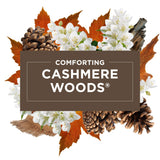 Automatic Spray Refill, Air Freshener, Cashmere Woods, 6.2 Ounce (3 Pack)