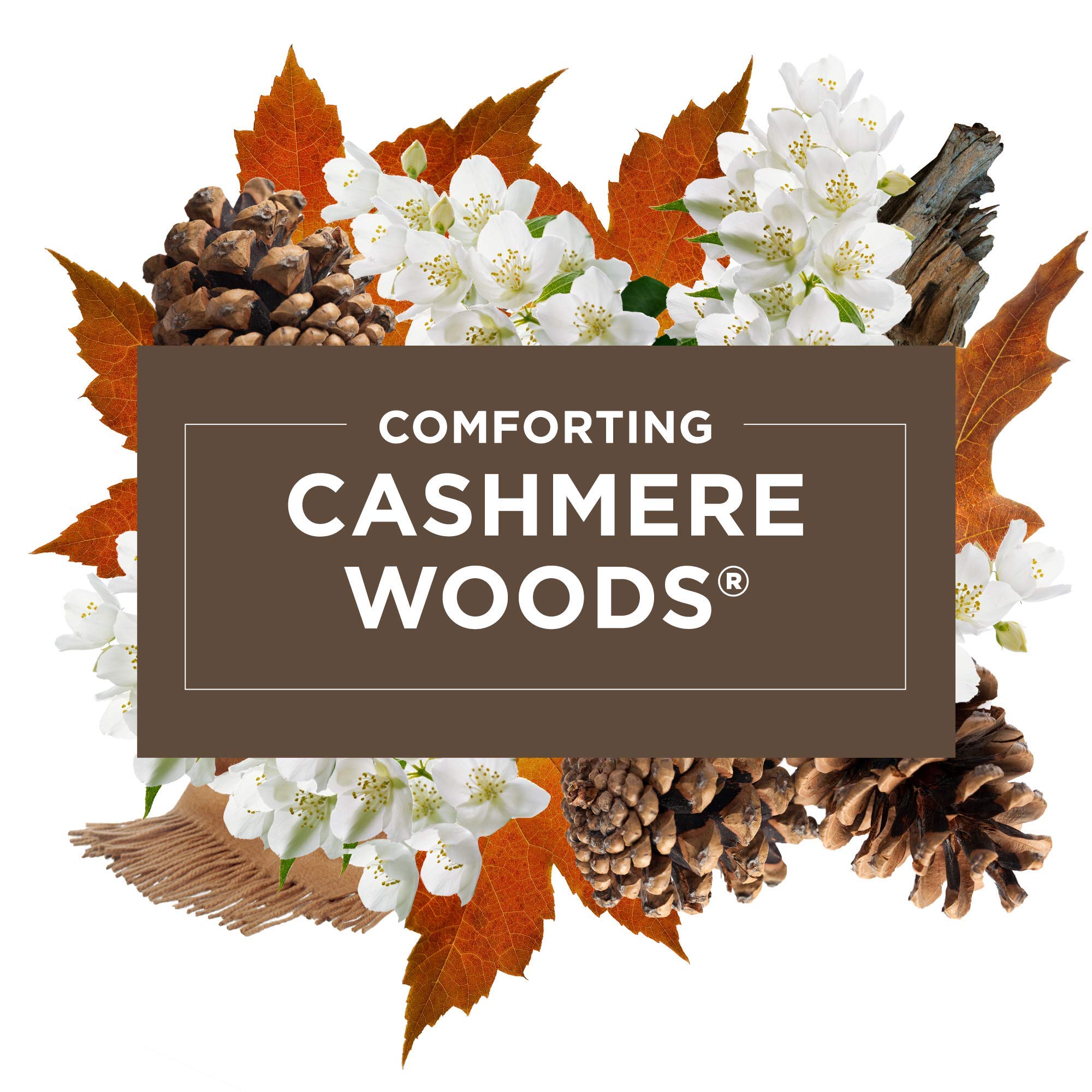 Automatic Spray Refill, Air Freshener, Cashmere Woods, 6.2 Ounce (3 Pack)