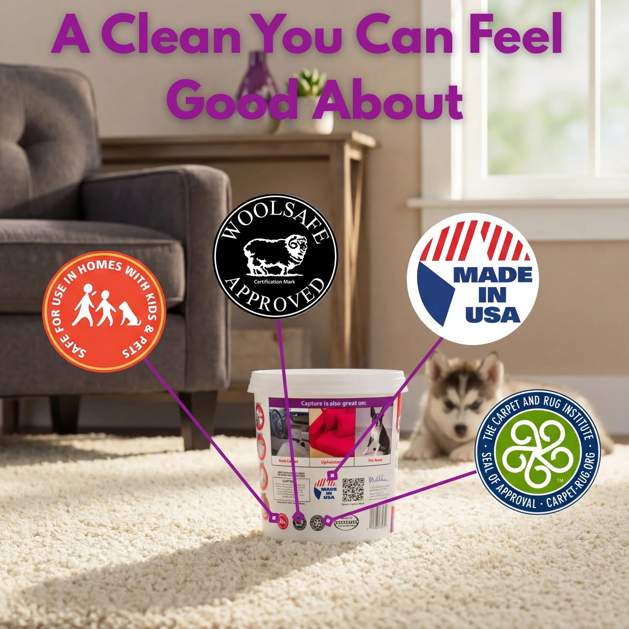 Capture Carpet Total Care Kit 250 - Carpet Deodorizer & Freshener Powder - Spot & Stain Remover - Pet Odor Eliminator - Fresh Natural Scent - Dry Rug
