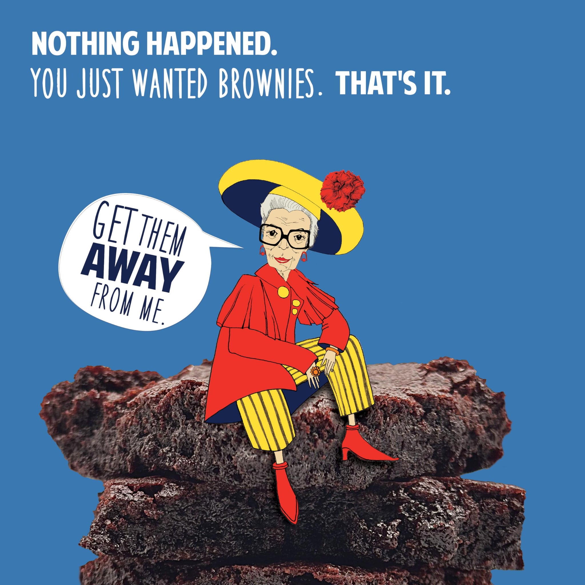 The Matzo Project Just Because Fudge Brownie Mix, 12oz Box (2 Pack) Gluten-Free, Kosher for Passover, Rich and Fudgy, Easy to Bake, Just Add Eggs and Oil, One Bowl
