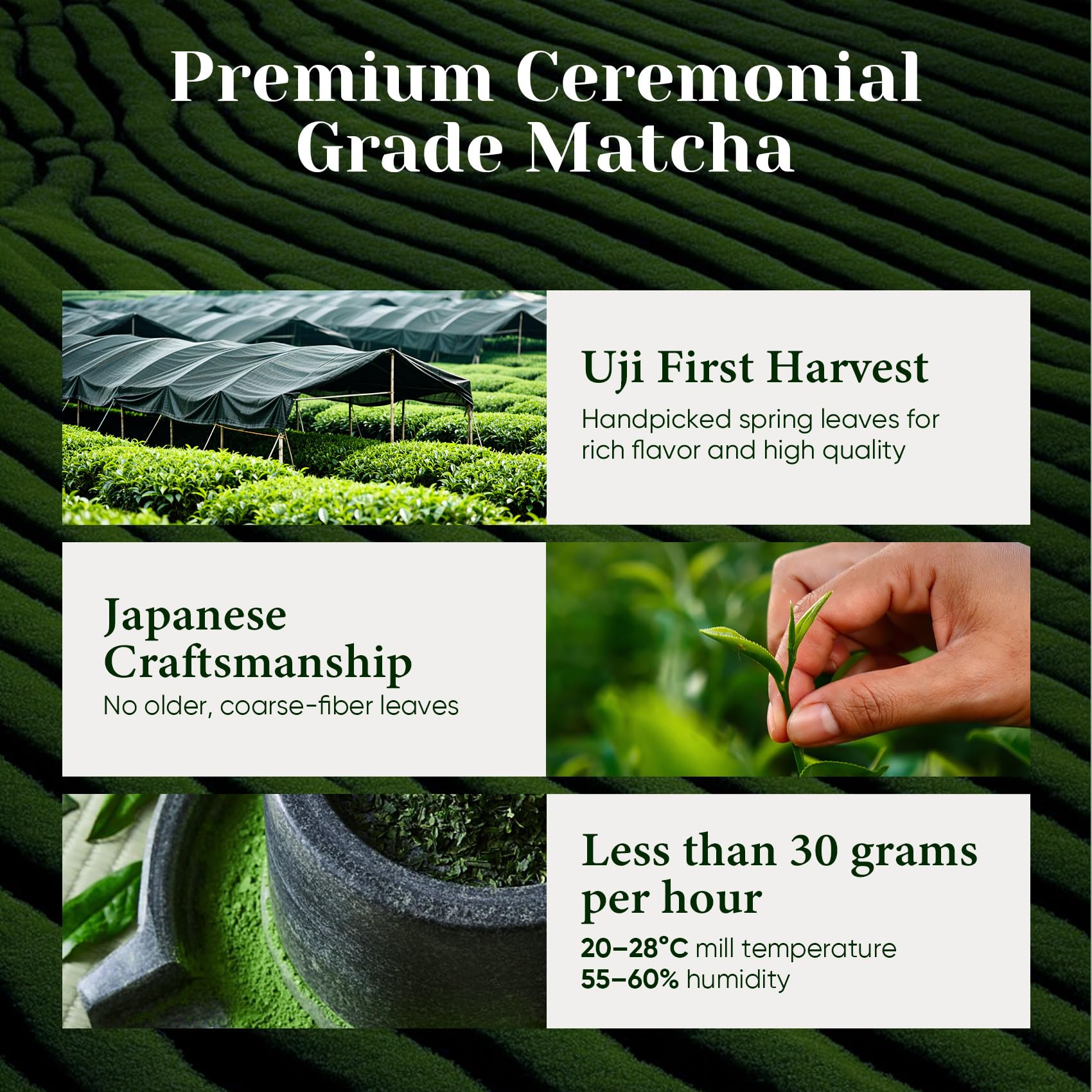 Venture Pal Superior Ceremonial Grade Matcha Powder, 100% Pure First Harvest Matcha Powder, Shade Grown Green Tea - Vegan, Gluten-Free, No Additives