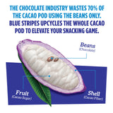 Blue Stripes - Pure Dark Whole Cacao Chocolate Bars, 70% Cacao Bar, Healthy Chocolate, Vegan, No Refined Sugar, Non GMO, Gluten Free, 2.1 OZ