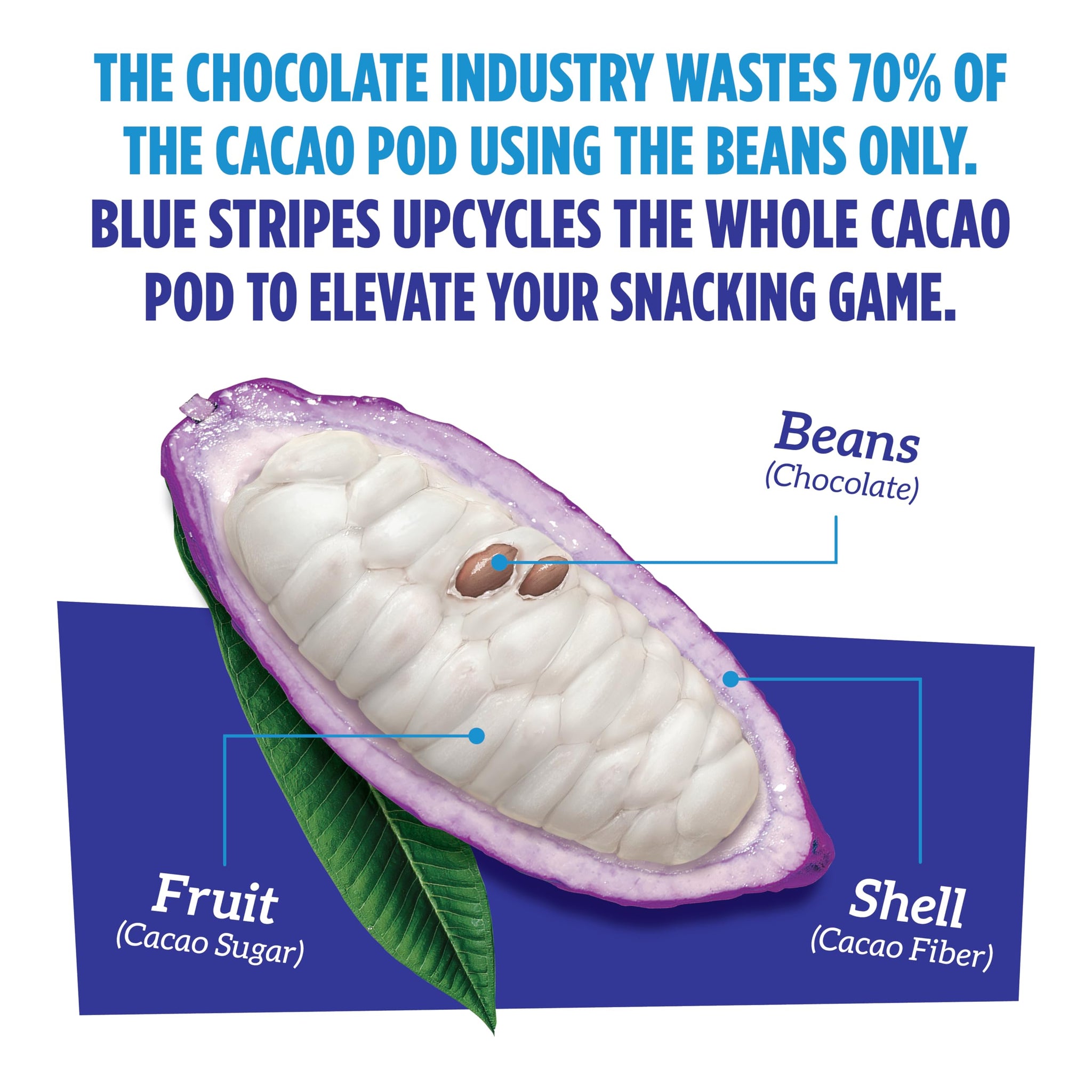 Blue Stripes - Pure Dark Whole Cacao Chocolate Bars, 70% Cacao Bar, Healthy Chocolate, Vegan, No Refined Sugar, Non GMO, Gluten Free, 2.1 OZ