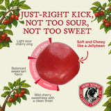 Cherry Republic Sour Balls, 8 oz - Sour Cherry Candy Balls, Sweet & Tart Flavor, Chewy Red Candy with Nostalgic Appeal, Gluten-Free, Perfect