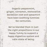 Allegro Tea, Organic Happy Tummy Tea Bags, 20 ct