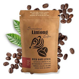 Wild Kopi Luwak, the World’s Most Exclusive Coffee, Sustainably Sourced From Sumatra, Indonesia (100gr / 3.5oz)