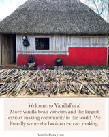 Mexican Veracruz Vanilla Beans - Gourmet Grade A - Vacuum Packaged - For At-Home Vanilla Extract Making, Brewing & For Use in Baking (1)