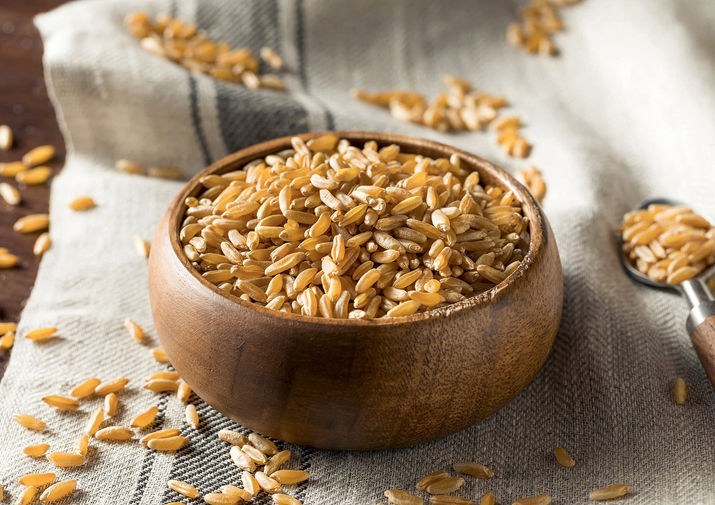 Food to Live Organic KAMUT Khorasan Wheat Berries, 3 Pounds - 100% Whole Grain, Sproutable for Wheatgrass, Non-GMO, Kosher, Bulk