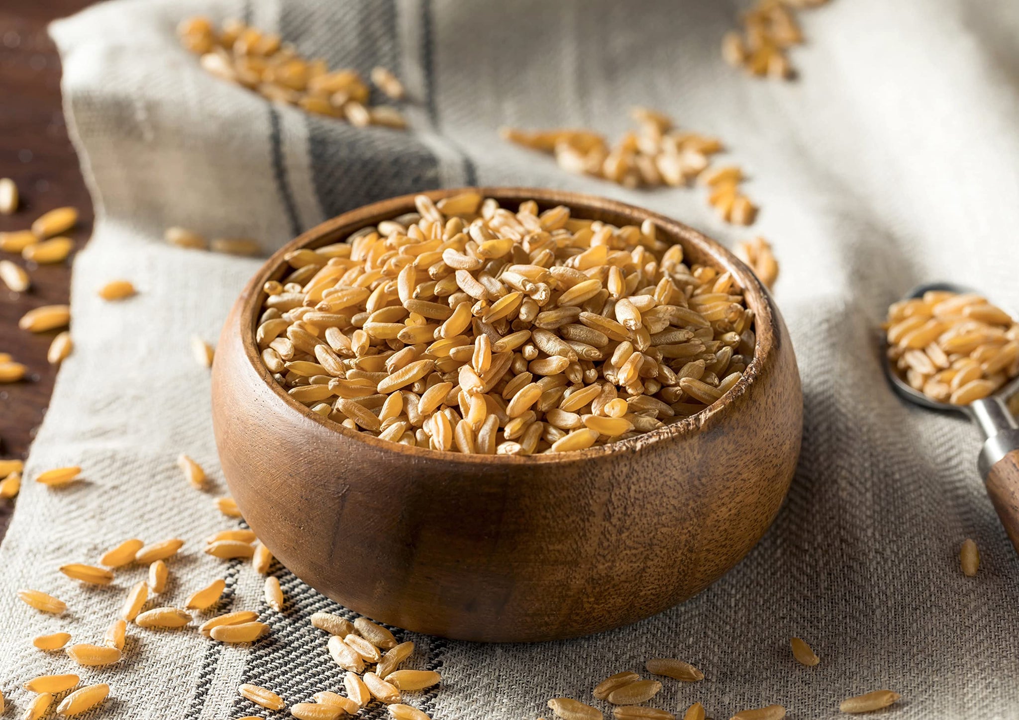 Food to Live Organic KAMUT Khorasan Wheat Berries, 3 Pounds - 100% Whole Grain, Sproutable for Wheatgrass, Non-GMO, Kosher, Bulk
