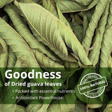 2.6oz Guava Leaves Dried, Hojas de Guayaba Secas, Dried Guava Leaf, Leaf Tea, Non-GMO, No Additives, Caffeine-free. by Akshit