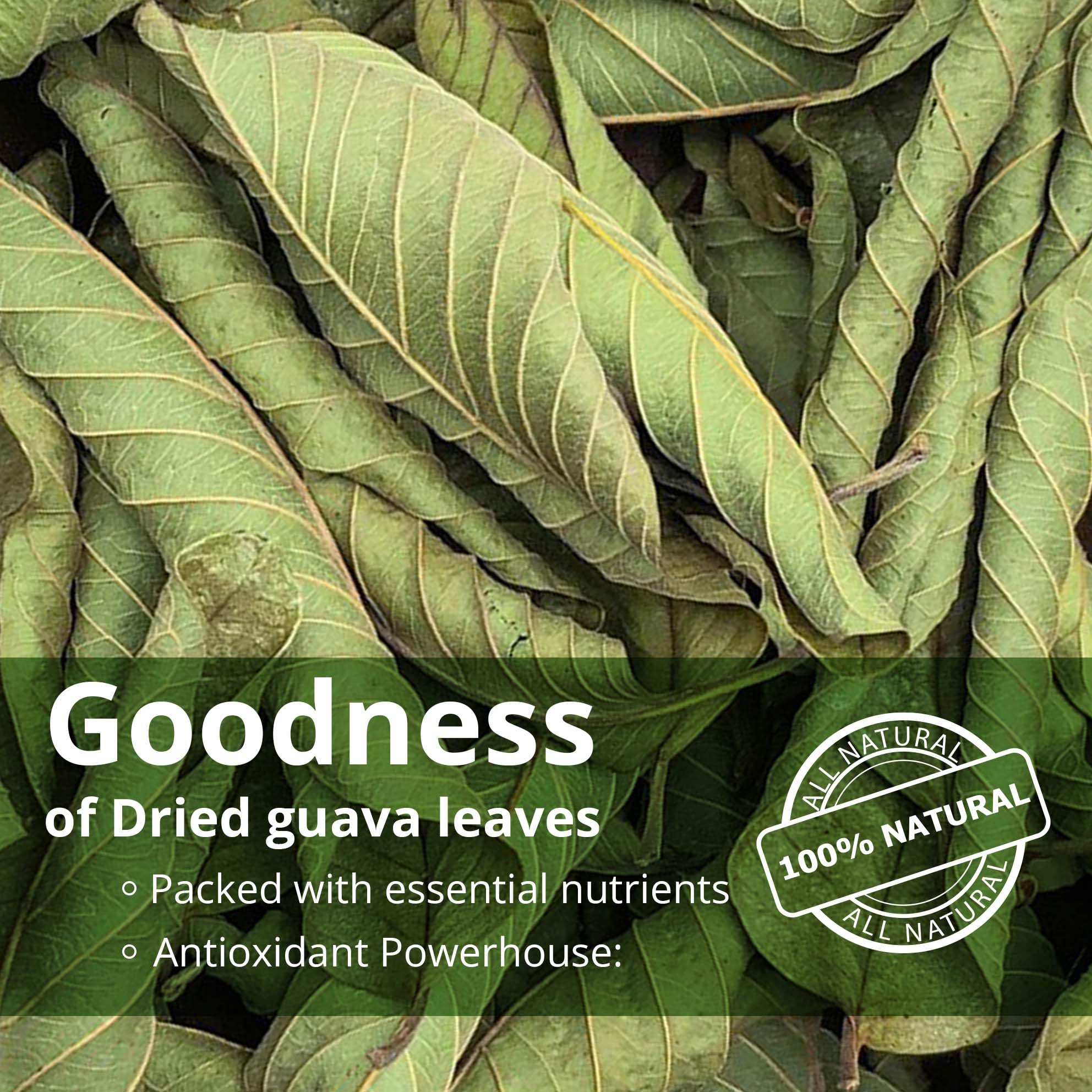 2.6oz Guava Leaves Dried, Hojas de Guayaba Secas, Dried Guava Leaf, Leaf Tea, Non-GMO, No Additives, Caffeine-free. by Akshit