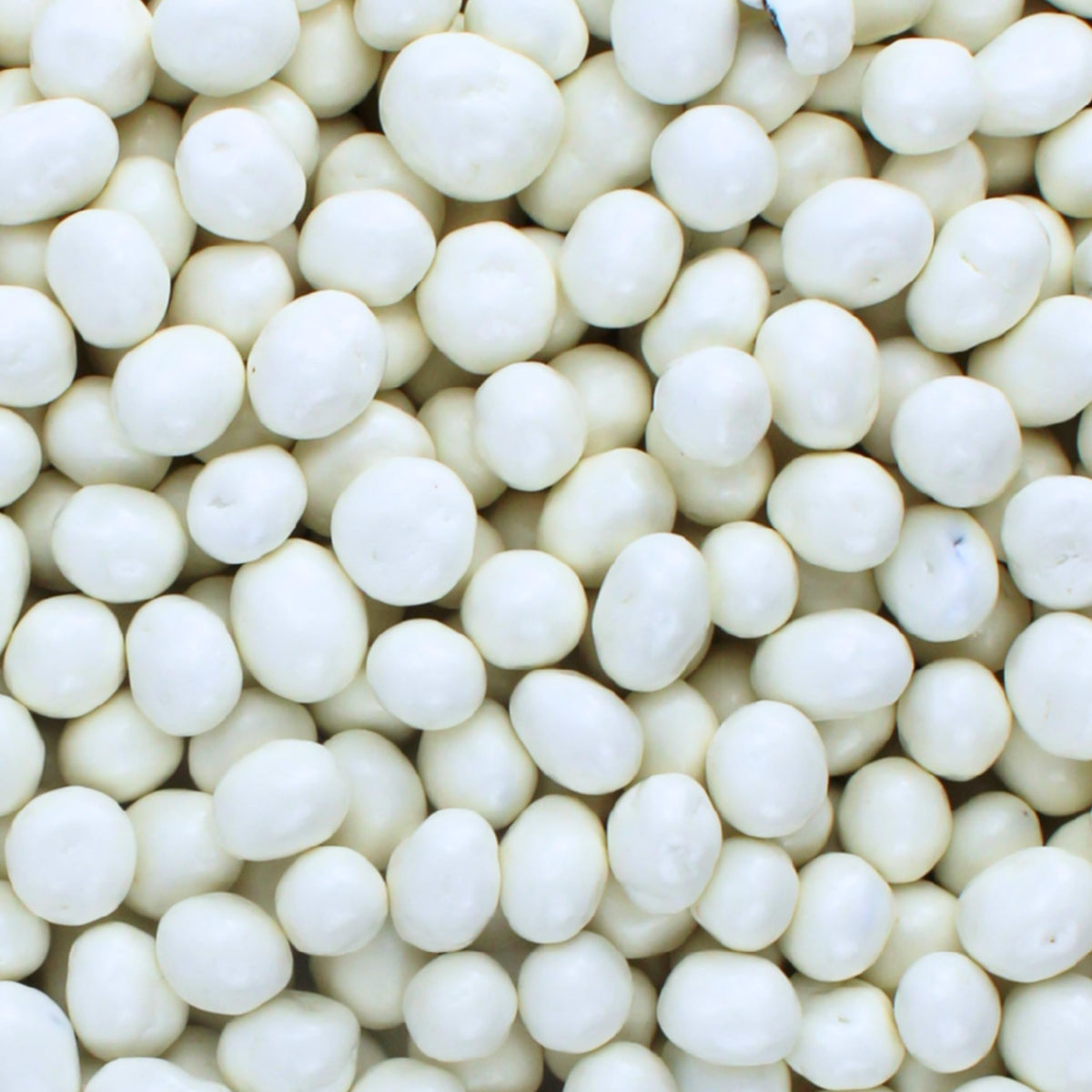 Yogurt and White Chocolate Covered Raisins, Bulk Candy Bag, Plump, 1 lb