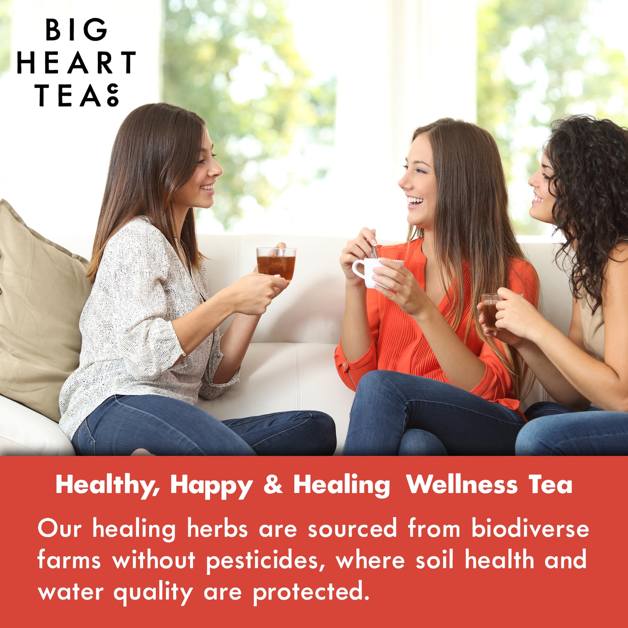 Big Heart Tea Co. Tea Bags - Fiery Masala Chai - Certified Organic, Ayurvedic Herbal Decaf Tea with Small Batch Ground Sweet Herbs and Spices