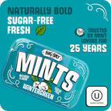 Big Sky Sugar Free Wintergreen Mints - 50 Count Tin (Pack of 6) | Kosher Certified, Vegan Wintergreen Candy | Aspartame & Gluten Free, Natural Breath